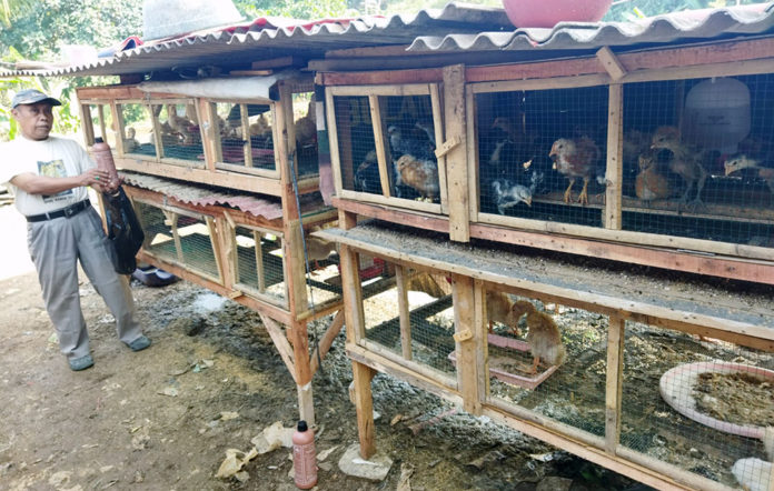 sanitasi kandang