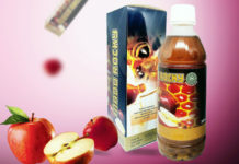 Madu Rocky Pelihara Kesehatan Tubuh Tetap Prima