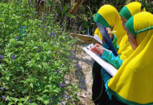 Kiat Khusus Agar Anak-Anak Senang Tumbuhan-Hewan-Lingkungan