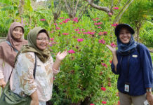 Pejabat Kementan Kunjungi Pak Oles Green School