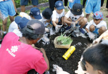 EM4 Untuk Pertanian Berkelanjutan