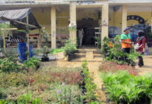 Heri Iskandar Biayai Kuliah Ketiga Anaknya dari Olah Sampah Jadi Pupuk Organik Berkat EM