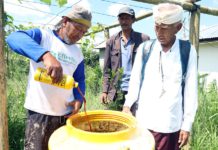 Dampak Konsumsi Mewah