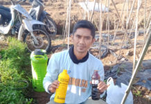 EM4 Bagus Untuk Budidaya Tomat