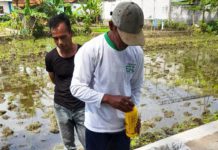 SLP Jakarta Bina Petani Padi Di Garut