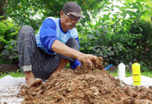 Pupuk Organik Sentuhan EM Perbaiki Struktur Tanah