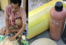 Membuat Fermentasi Batang Pisang Berbasis EM Untuk Pakan Ayam