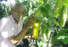 Instruktur EM: Pupuk Organik Tingkatkan Hasil Panen Tanaman