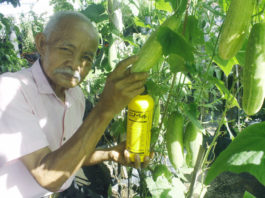 Teknologi EM: Masa Depan Pertanian Dunia