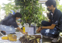 Teknologi EM Bermanfaat Terhadap Berbagai Aspek Kehidupan