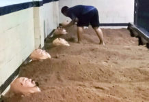 Pijat Dan Terapi Bokashi Pak Oles Diminati Wisatawan Jepang