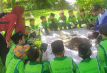 Puluhan Murid MI Al Kalam Padangsambian Kunjungi Pak Oles Green School