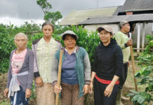 KWT Berpotensi Tingkatkan Kesejahteraan Petani Di Pedesaan