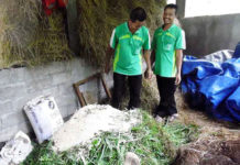 Gapoktan Gladagsari Produksi Bokashi Untuk Pupuk Dan Pakan Ternak