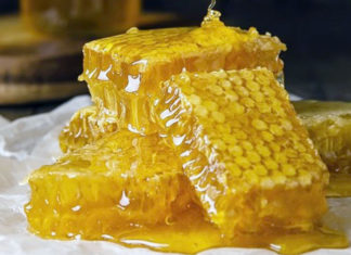 Madu Randu Warisan Alami Nusantara Untuk Kesehatan Sehari-hari