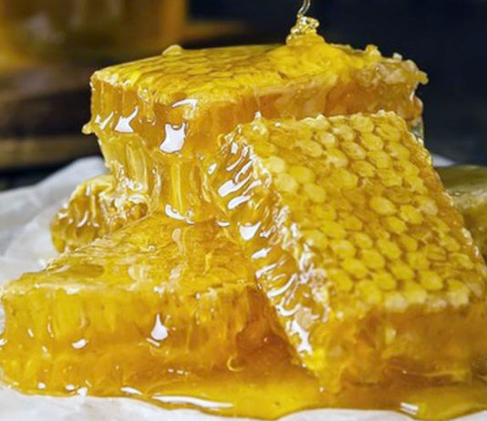 Madu Randu Warisan Alami Nusantara Untuk Kesehatan Sehari-hari