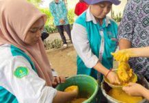 Siswa Magang Praktek Buat Jamu Ternak Gunakan EM4 Di IP2SIP Banjarbaru