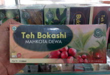 Sepuluh Manfaat Mahkota Dewa Bagi Kesehatan