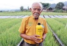Mengenang Pertanian Tradisional Bali