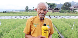 Pemanfaatan Teknologi EM, Solusi Pertanian Tanpa Olah Tanah