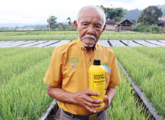 Mengenang Pertanian Tradisional Bali
