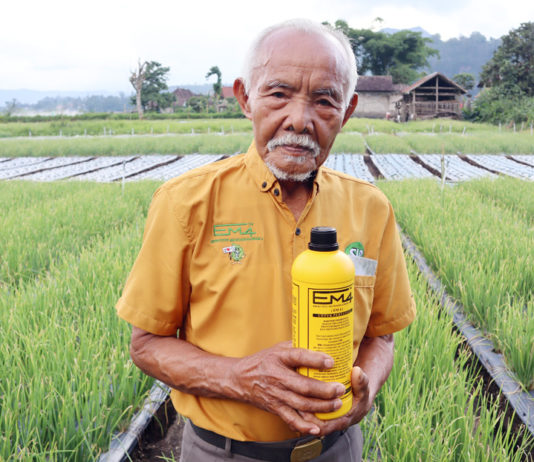 Mengenang Pertanian Tradisional Bali