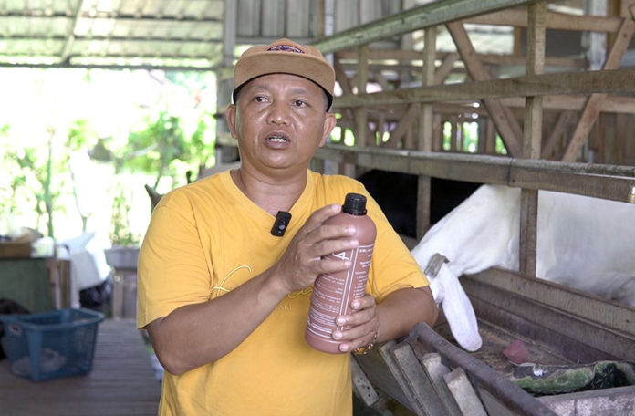 em4 kambing