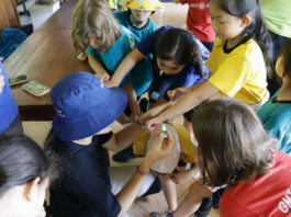 Siswa SD GMIS Bali Antusias Gunakan Minyak Bokashi Saat Belajar Di Alam Terbuka