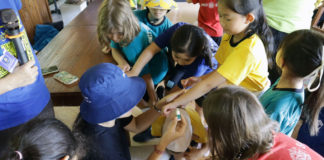 Siswa SD GMIS Bali Antusias Gunakan Minyak Bokashi Saat Belajar Di Alam Terbuka