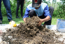 EM4 Kembalikan Kesuburan Tanah, Hasilkan Tanaman Lebih Sehat Dan Bernutrisi