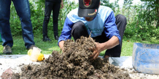 EM4 Kembalikan Kesuburan Tanah, Hasilkan Tanaman Lebih Sehat Dan Bernutrisi