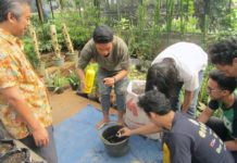 Begini Cara Efektif Membuat Pupuk Dari Limbah Rumah Tangga, Dijamin Tanaman Subur!