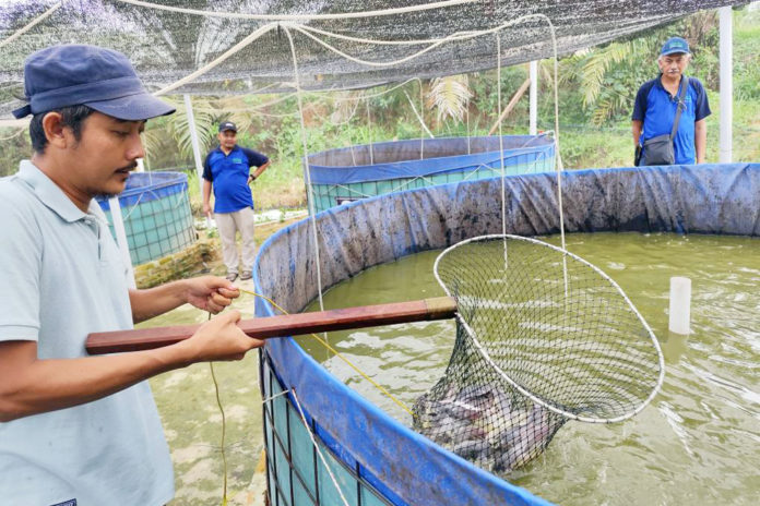 577011069_770340792701003_41382751334403609359_n