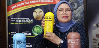 Akademisi: EM4 Dukung Pertanian Berkelanjutan