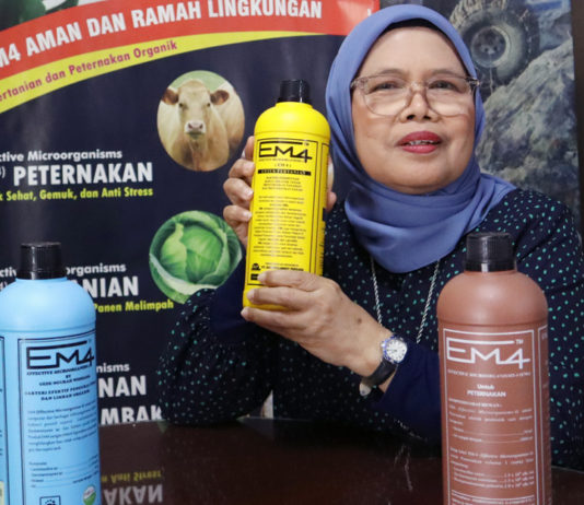 Akademisi: EM4 Dukung Pertanian Berkelanjutan