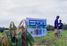 Tanaman Kakao Petani di Lampung Tumbuh Maksimal Berkat EM4
