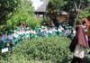 Puluhan Murid PAUD Mutiara Jimbaran Ikuti Outing Class di Pak Oles Green School