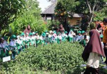 Puluhan Murid PAUD Mutiara Jimbaran Ikuti Outing Class di Pak Oles Green School