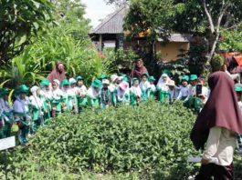 Puluhan Murid PAUD Mutiara Jimbaran Ikuti Outing Class di Pak Oles Green School