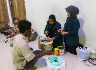 KKN Unila Kenalkan EM4 dan Aplikasi AI, Bantu Petani Pematang Baru Terapkan Pertanian Sehat