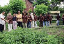 Mahasiswa Farmasi Usahid Surakarta Kunjungan Industri ke Pak Oles, Pelajari Produksi Obat Tradisional Berbasis EM4