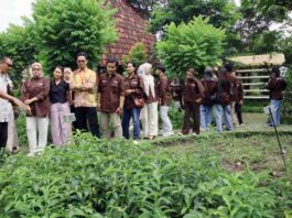 Mahasiswa Farmasi Usahid Surakarta Kunjungan Industri ke Pak Oles, Pelajari Produksi Obat Tradisional Berbasis EM4