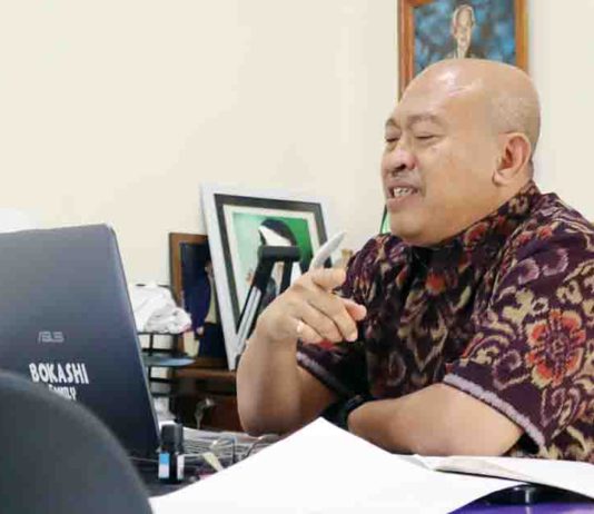 Dr Wididana: Kuasai Keahlian Khusus, Anda Bisa Hidup dari Ikigai