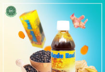 Madu Resi Lancarkan Peredaran Darah dan Pelihara Imun Tubuh