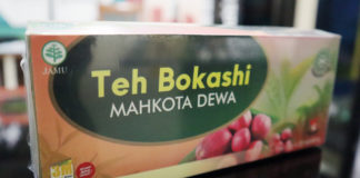 Teh Bokashi Mahkota Dewa, Praktis untuk Jaga Kesehatan Sehari-hari