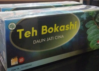 Rahasia Pencernaan Sehat, Teh Bokashi Jati Cina Jadi Andalan Keluarga Nusantara
