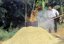 Fermentasi Sekam Bakar dengan EM4, Solusi Media Tanam Sehat dan Subur