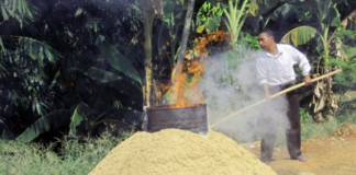 Fermentasi Sekam Bakar dengan EM4, Solusi Media Tanam Sehat dan Subur