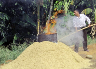 Fermentasi Sekam Bakar dengan EM4, Solusi Media Tanam Sehat dan Subur