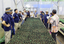 Pembibitan Berbasis Teknologi EM di Tunas Inti Agri Makmur Tuai Perhatian Delegasi APNAN